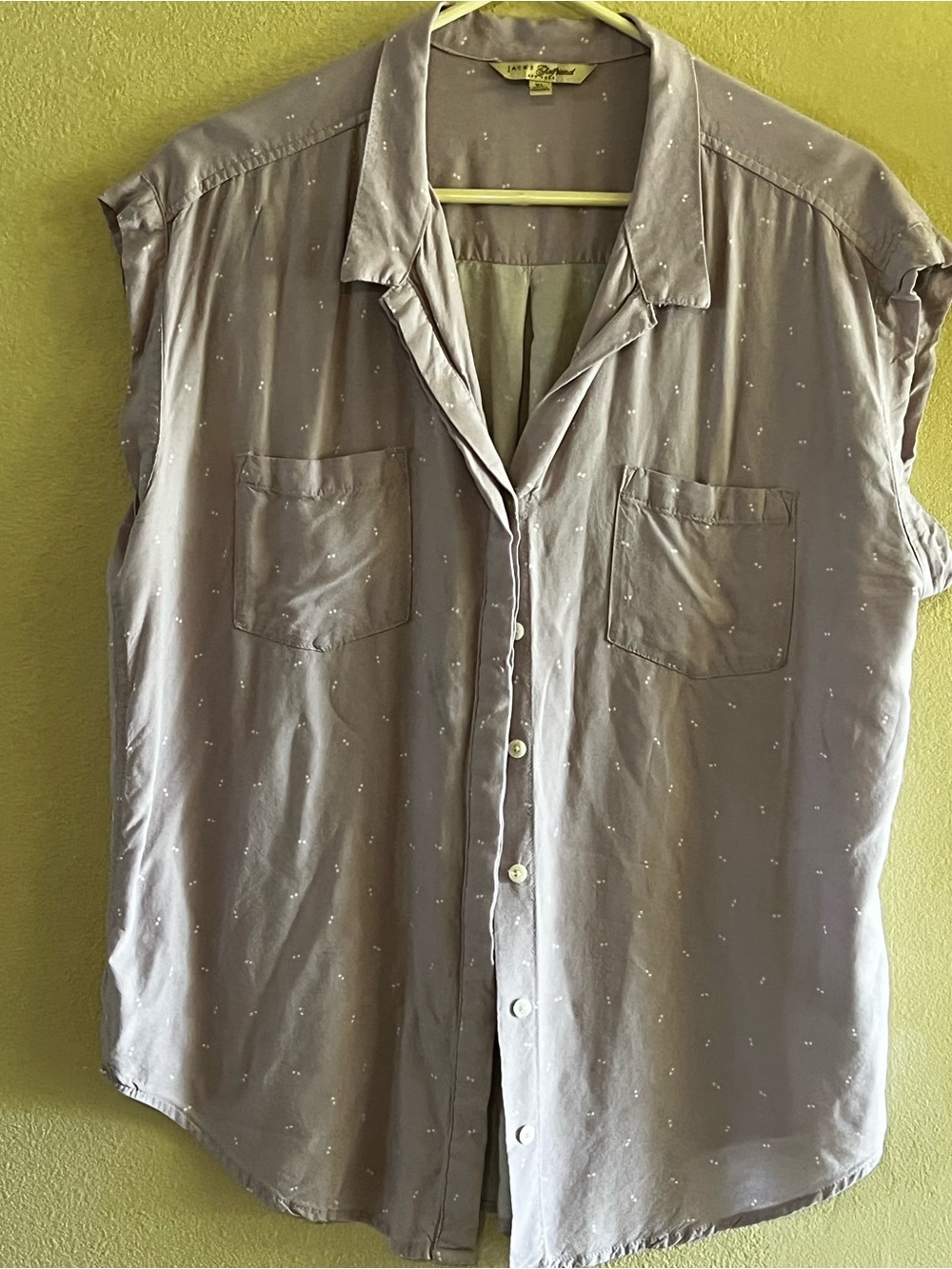 JACHS Girlfriend Light Lavender Button-Down Shirt